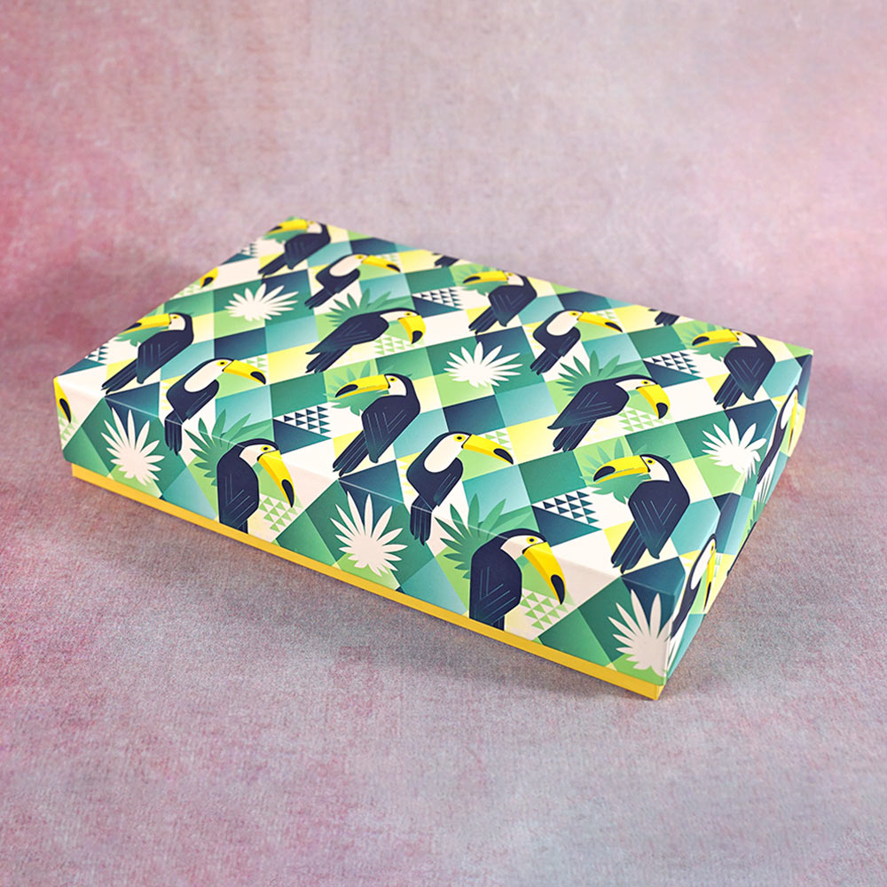 Toucan Design Medium Rectangle Gift Box (Playful Collection)