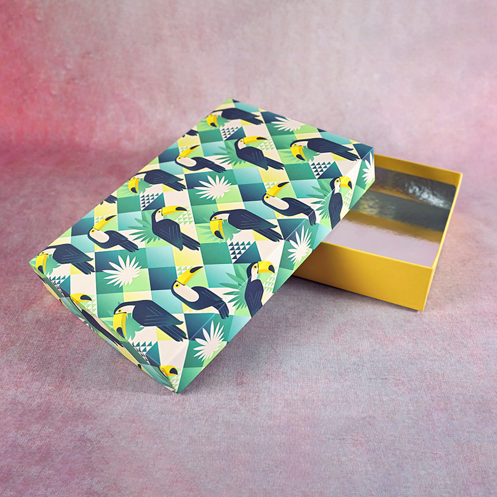 Toucan Design Medium Rectangle Gift Box (Playful Collection)
